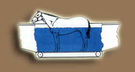 Horse Treadmill Drawing