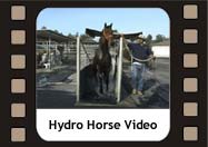 Aquatred Horse Treadmill Video Clip Introduction to the HydroHorse Treadmill Systems