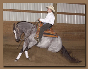Many reining and other performance horses benefit from regular hydrotherapy in aquatred horse treadmills